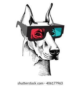 Doberman Pinscher portrait in a 3D glasses. Vector illustration.