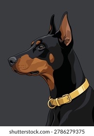 Doberman Pinscher Portrait: A distinguished Doberman Pinscher, adorned with a golden collar