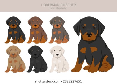 Doberman pinscher Welpen Clipkunst. Unterschiedliche Posen, Farben für die Fellfarbe.  Vektorgrafik