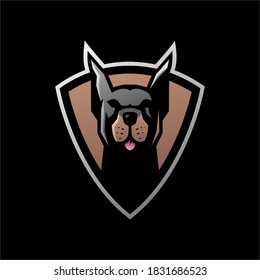 doberman pinscher shield e sport logo vector ilustración