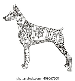 Doberman pinscher zentangle stylized, vector, illustration, freehand pencil, hand drawn, pattern. Zen art. Ornate vector. Lace. Dog chinese zodiac sign.