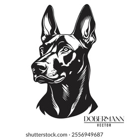 Doberman Pinschers dog black and white vector logo line art hand drawn vector pets illustration