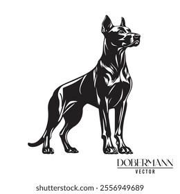 Doberman Pinschers dog black and white vector logo line art hand drawn vector pets illustration