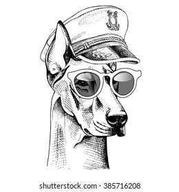 Doberman portrait in a captain cap with sunglasses. Vector illustration.
