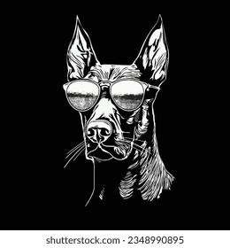 doberman portrait illustration wearing sunglasses