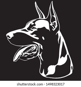 Doberman portrait with a red collar. Vector illustration.