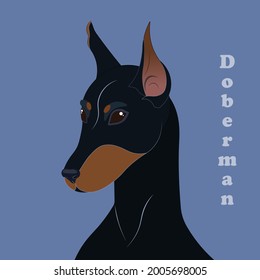 Doberman. Print with beautiful dog with background