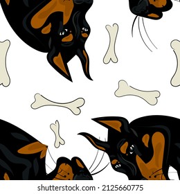 
doberman-nahtloses Muster auf weißem Hintergrund. Gewebe, Papier, Druckdesign