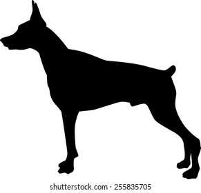 Doberman Silhouette