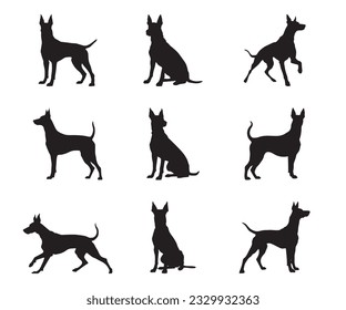 Conjunto de siluetas doberman - imágenes vectoriales aisladas de animales salvajes
