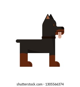 Doberman is stand. Pedigree dog. Vector illustration. Flat icon. Tongue out