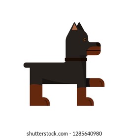 Doberman stand. Purebred dog gives a paw. Vector illustration. Flat icon.