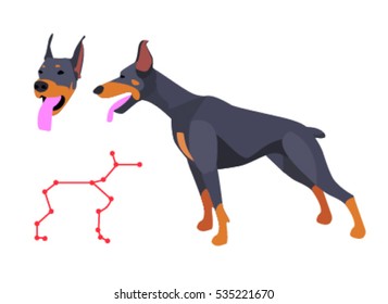 Doberman vector
