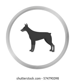 Doberman vector icon in monochrome style for web