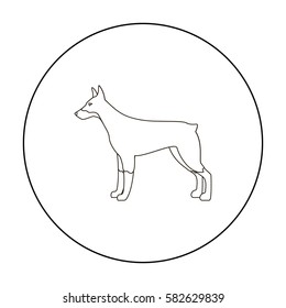 Doberman vector icon in outline style for web