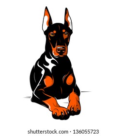 Doberman. Vector Illustration