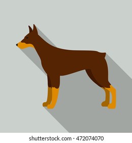 Doberman vector illustration icon in flat design