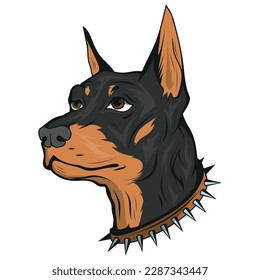 Doberman. Ilustración vectorial de la mascota pura. La cabeza del perro con el cuello.
