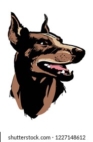 Doberman vector portrait, eps8, illustration dog