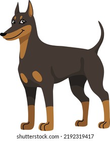 The Dobermann Colored Vector Illustration cartoon