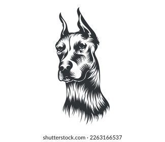 Dobermann Dog Breed Vector Illustration White Background