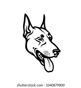 Dobermann dog face - isolated outlined vector illustration