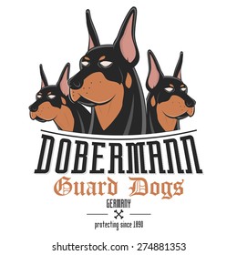 dobermann dog vector illustration