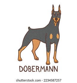 Dobermann. Perro aislado en forma de doodle para carteles de anuncios de volantes. Ilustración vectorial