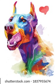 Dobermann  Pinscher colorful dog portrait. Watercolor hand drawn illustration converted into vector.