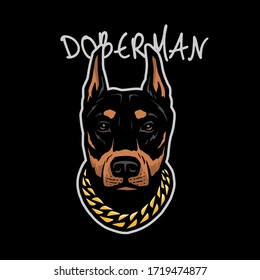 Doberman's head with a chain on his neck on a dark background.