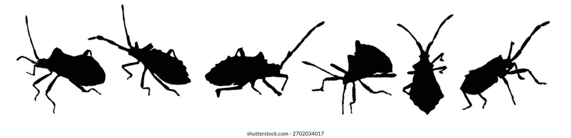 ilustração do inseto da natureza da silhueta do bug dock