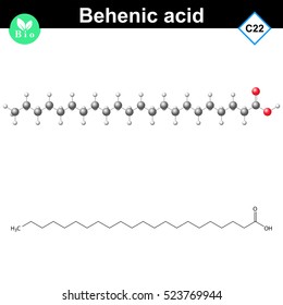 Docosanoic fatty acid molecular structure,  behenic acid molecular structure, 2d and 3d vector illustration, isolated on white background, eps 10