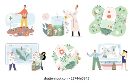 Doctor checking medicinal herbs. Natural herbal medicine selection. Scientist with natural drug research, Green herbal medicine discovery science lab. Scientist doctor making alternative medicine herb