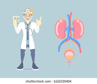 doctor drinking water with kidney and bladder urinary system, internal organs anatomy body part nervous system health care, vector illustration cartoon flat character design clip art