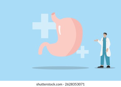 O médico examina o diagnóstico dor no estômago dor no sistema digestivo intestino problema no abdômen vetor ilustração desenho medicina tratamento bacterium care doença interna do órgão estilo de vida doença do cólon