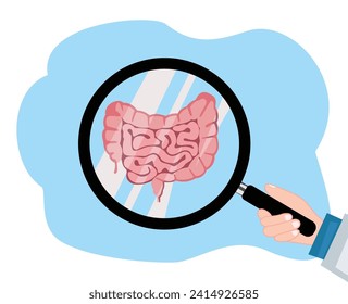 The doctor examines the large intestine using a magnifying glass