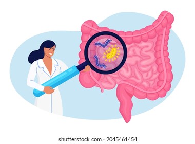 Doctor examining gastrointestinal tract, bowel, digestive system with magnifier. Intestinal inflammation, Enteritis, Colitis, Dysbacteriosis. Intestine health. Gut microorganisms and friendly flora