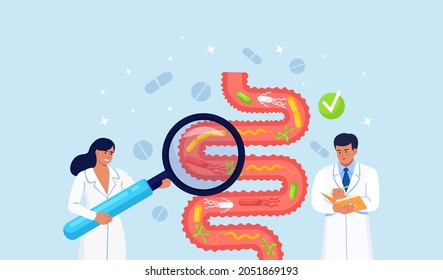 Doctor Examining Gastrointestinal Tract, Bowel, Digestive System. Gastroenterologist Inspect Bowel Or Intestine Canal Problems. Intestinal Inflammation. Gut Microorganisms And Friendly Flora