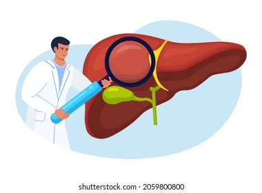 Doctor Examining Patient Liver with Magnifier. Medical Research. Physician Diagnosis Liver Disease, Hepatitis A, B, C, D, Cirrhosis, Cancer. Vector illustration