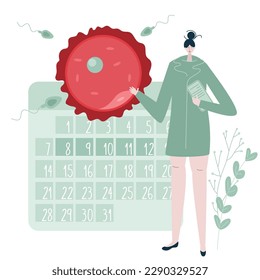 The doctor, gynecologist helps to planning pregnancy, have baby and become parents. Illustration with  calendar, egg cell and sperm cell good for medical clinic poster or UI UX design apps.