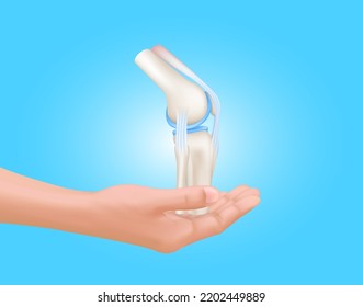 Doctor hand holding bone human joints with the skeleton anatomy of the body isolated on blue background. Medical science and health care concept. Realistic 3D Vector.