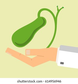 The doctor hand holding human gallbladder. Healthcare concept. vector illustration.