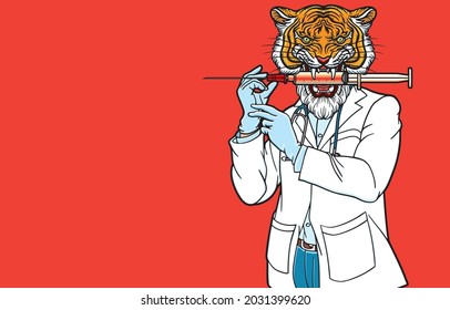 Doctor With Head Of Tiger Wearing Medical Glove, Hold Big Syringe In Mouth, Happy Year Of Tiger, Asian Belief, Healthy Safe From COVID-19, Fetish, Mascot. Beautiful Animal Vector Illustration Concept.