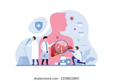 Doctor make liver examination design concept. Hepatologists  diagnose, manage, and treat conditions affecting the liver vector illustration