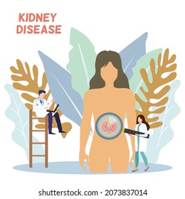 A doctor sitting on stairs using laptop a lady doctor holding magnifying glass zoom at human kidney, health care concept, kidney disease problems 