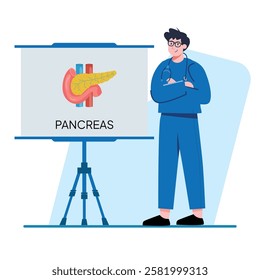 A doctor stands confidently beside a presentation board showing the pancreas anatomy. Great for medical websites and educational materials.