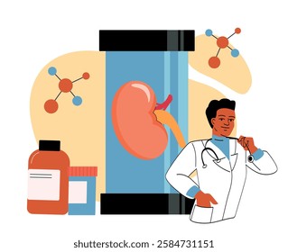 Doctor with stethoscope, kidney in a test tube, medicine bottles, and molecular structures on abstract background. Concept of nephrology