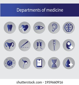 doctor with stethoscope vector image