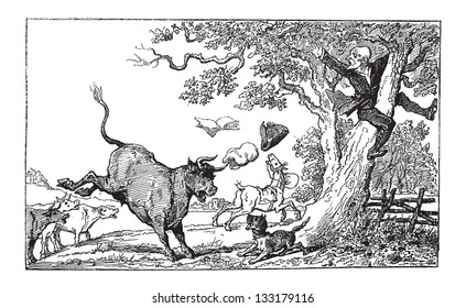 Doctor Syntax Being Chased by a Bull, by Thomas Rowlandson, vintage engraved illustration. Le Magasin Pittoresque - 1874