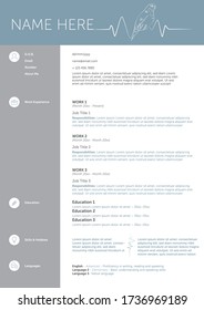 A Doctor Vet CV Template with A Falcon on top.